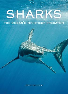 Sharks: The Ocean's Mightiest Predator