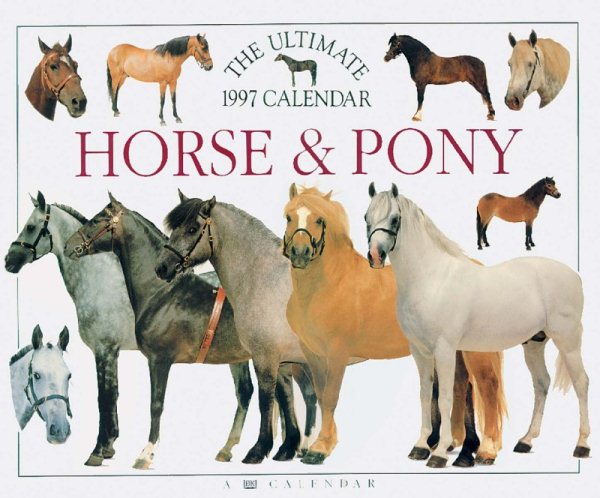 Ultimate Horse & Pony 1997 Calendar