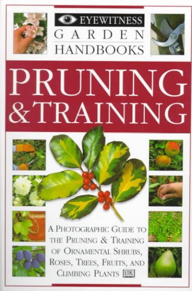 Pruning & Training