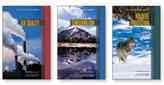 Environmental Issues Set