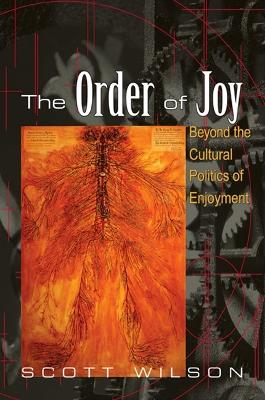 Order of Joy: Beyond the Cultural Politics of Enjoyment