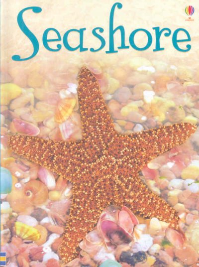 Seashore