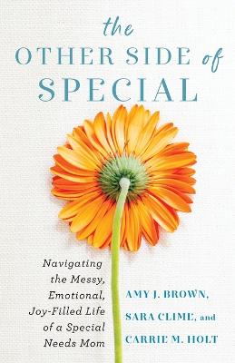 Other Side of Special: Navigating the Messy, Emotional, Joy-Filled Life of a Special Needs Mom