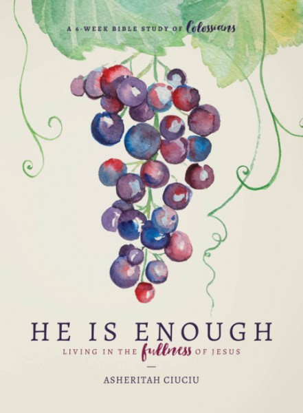 He is Enough: Living in the Fullness of Jesus (A Study in Colossians)