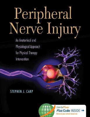 Peripheral Nerve Injury: an Anatomical and Physiological Approac