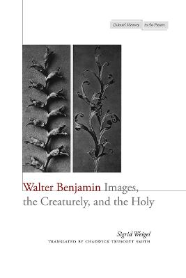 Walter Benjamin: Images, the Creaturely, and the Holy New edition