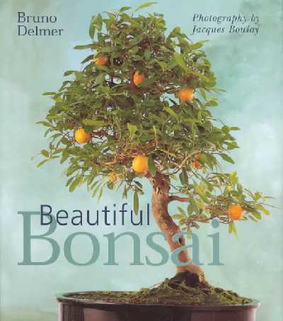 BEAUTIFUL BONSAI