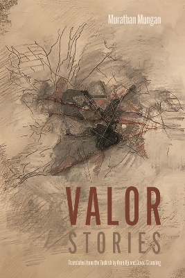 Valor: Stories Global Humanities Translation Prize