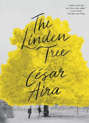 Linden Tree