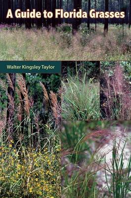 Guide to Florida Grasses