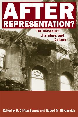 After Representation?: The Holocaust, Literature, and Culture