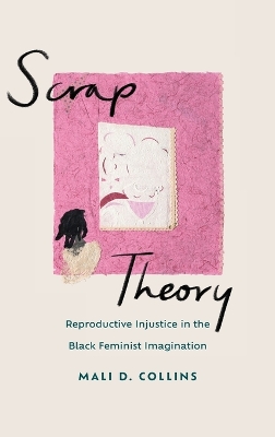 Scrap Theory: Reproductive Injustice in the Black Feminist Imagination