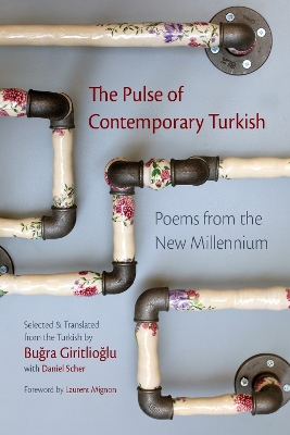 Pulse of Contemporary Turkish: Poems from the New Millennium