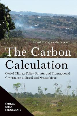 Carbon Calculation: Global Climate Policy, Forests, and Transnational Governance in Brazil and Mozambique