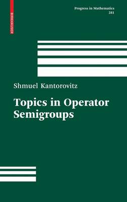 Topics in Operator Semigroups 2010 ed.
