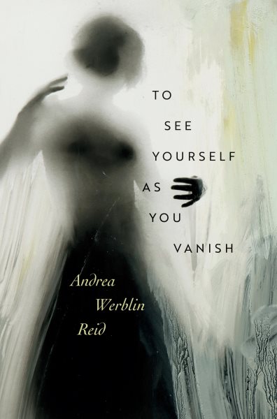 To See Yourself as You Vanish: Poems