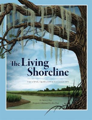 Living Shoreline: How a Small, Squishy Animal Is a Coastal Hero