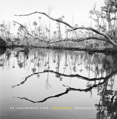 Unflinching Look: Elegy for Wetlands