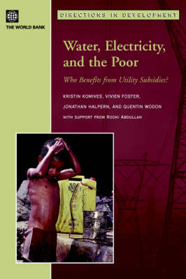 Water, Electricity, and the Poor: Who Benefits from Utility Subsidies?