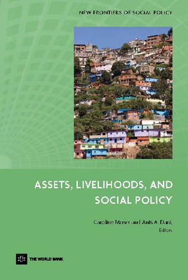 Assets, Livelihoods and Social Policy