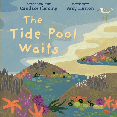 Tide Pool Waits