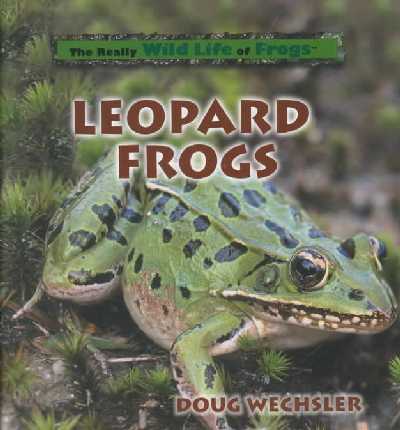 Leopard Frog