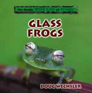 Glass Frogs