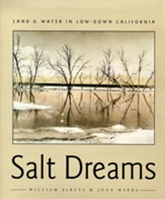 Salt Dreams: Land and Water in Low-down California