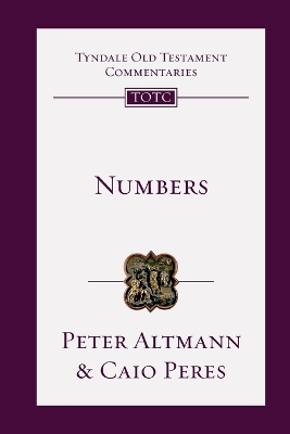 Numbers: An Introduction and Commentary
