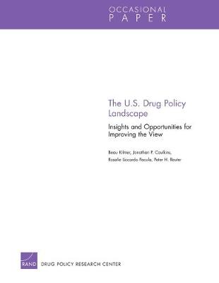 U.S. Drug Policy Landscape: Insights and Opportunities for Improving the View