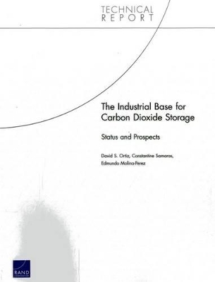 Industrial Base for Carbon Dioxide Storage: Status and Prospects