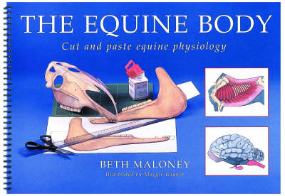Equine Body: Cut and Paste Equine Physiology
