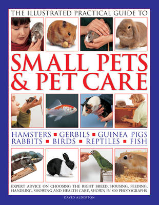 Illustrated Practical Guide to Small Pets & Pet Care