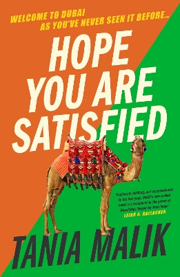 Hope You Are Satisfied: a sharp satire exploring privilege, immigration and gender, with a touch of espionage