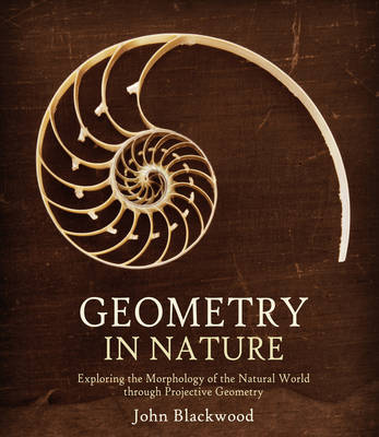 Geometry in Nature: Exploring the Morphology of the Natural World through Projective Geometry