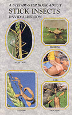 Step by Step Book About Stick Insects