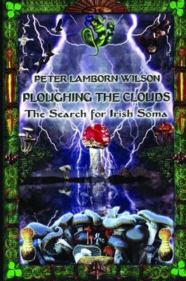 Ploughing the Clouds: The Search for Irish Soma
