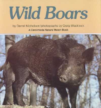 Wild Boars illustrated edition