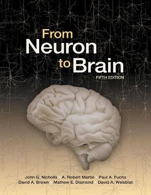 From Neuron to Brain 5th Revised edition