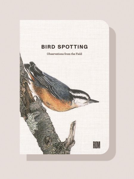 Bird Spotting: Notes from the Field