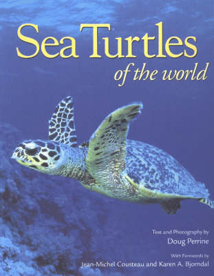 Sea Turtles of the World