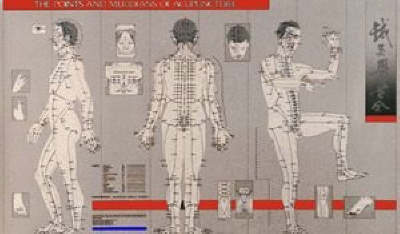 Points and Meridians of Acupuncture Chart