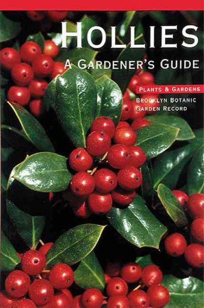 Hollies: A Gardener's Guide