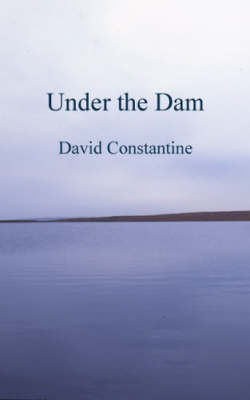 Under the Dam: and other stories