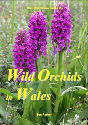 Wild Orchids in Wales