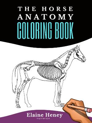 Horse Anatomy Coloring Book For Adults: Self Assessment Equine Coloring Workbook: Test Your Knowledge - For  Equestrians & Veterinary Students