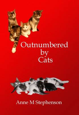 Outnumbered by Cats