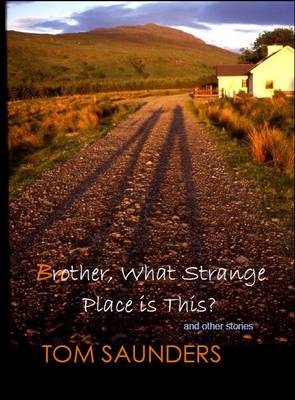 Brother, What Strange Place is This?: And Other Stories 2nd edition