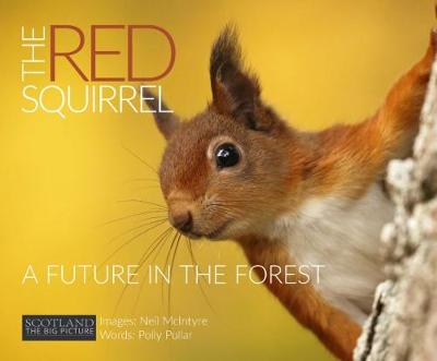 Red Squirrel: A Future in the Forest