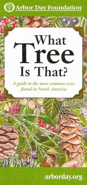 What Tree Is That?: A Guide to the More Common Trees Found in North America